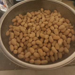 硬め食感　水煮大豆